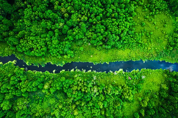 way of sustainability