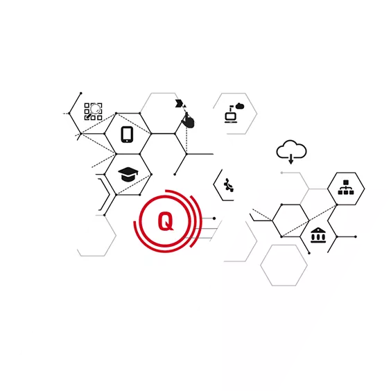 Qualitätsorganisation