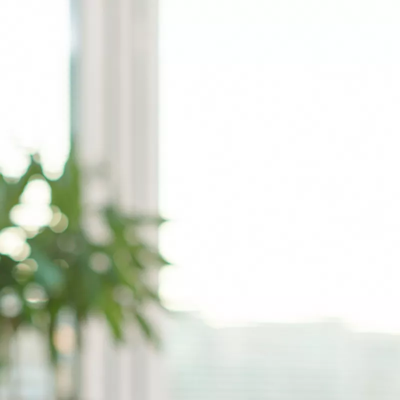 Blurred representation of a window front of an office with houseplant